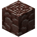 ANCIENT_DEBRIS
