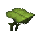 BIG_DRIPLEAF