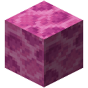 BRAIN_CORAL_BLOCK