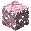 CHERRY_LEAVES