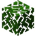 DARK_OAK_LEAVES