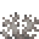 DEAD_BRAIN_CORAL_FAN