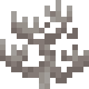 DEAD_FIRE_CORAL