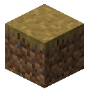 DIRT_PATH