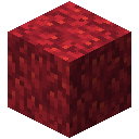 FIRE_CORAL_BLOCK