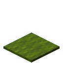 GREEN_CARPET