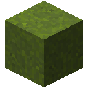 GREEN_CONCRETE_POWDER
