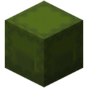 GREEN_SHULKER_BOX