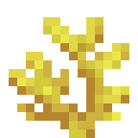 HORN_CORAL
