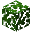 JUNGLE_LEAVES