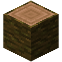 JUNGLE_LOG