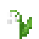 LILY_OF_THE_VALLEY