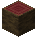 MANGROVE_LOG