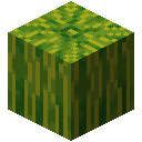 MELON
