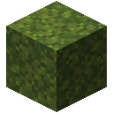 MOSS_BLOCK