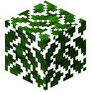 OAK_LEAVES
