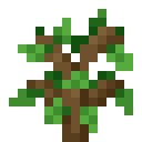 OAK_SAPLING