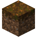 PODZOL