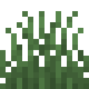 SHORT_GRASS