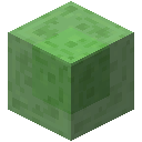 SLIME_BLOCK