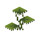 SMALL_DRIPLEAF