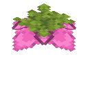 SPORE_BLOSSOM