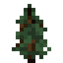 SPRUCE_SAPLING