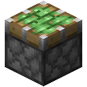 STICKY_PISTON