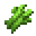 SUGAR_CANE