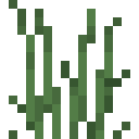 TALL_GRASS