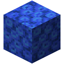 TUBE_CORAL_BLOCK