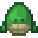 TURTLE_SPAWN_EGG