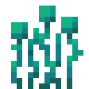 WARPED_ROOTS