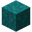 WARPED_WART_BLOCK