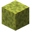 WET_SPONGE