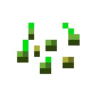 WHEAT_SEEDS