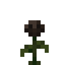 WITHER_ROSE